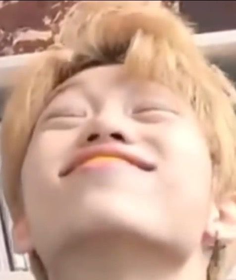 • STRAY KIDS MEME THREAD •-memes to help you out in every situation -please don’t flop-feel free to add more :)