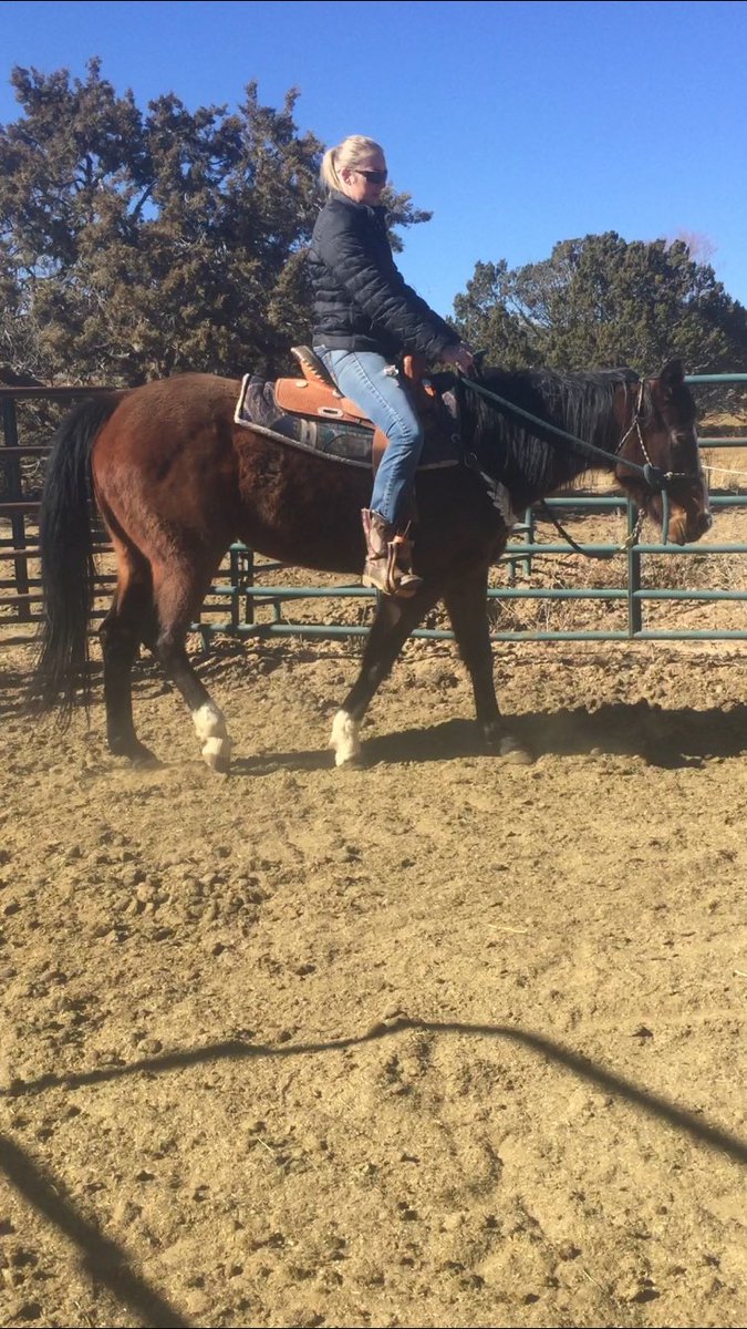 Winter days #candocowgirl #sundialsquad #sundialshowclothing #barfboots #break #trainthemyoung #courage #grit #determination #future #futurebarrelhorse #giveityourall #dontquit #besomebody #goaldigger #doyou #beyou #nmproud #willingtoplease #lovestowork #loveher #shesgotmoves