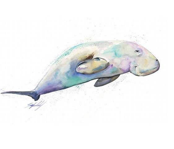 stepheartwork's tweet photo. I named this guy ‘Don’t Worry, Be Happy’ because.. just try not to smile at that face #floatypotato #dugong #seacow #illustration #illustrator #instaart #illustrationdaily #seaside #beachhouse #eastcoast #sealife #watercolor #watercolour https://t.co/Wmm2gVNsAZ https://t.co/UUcrVXM9TO