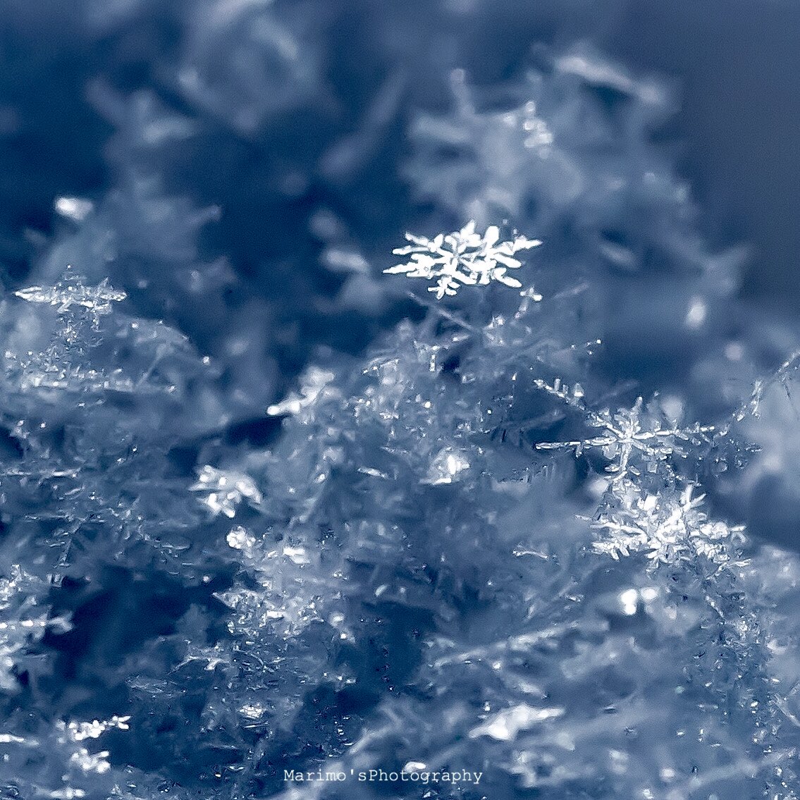 nonntannpu's tweet photo. 『雪は天から送られてきた手紙である』

❄️雪の結晶❄️

樹枝状六花、霰状、砲弾型、扇状
結晶のまま降ってきてた。
綺麗(*'ω'*)

新潟の空から

#雲を愛する技術 #霜活 #snow #snowflake #photography #写真の奏でる私の世界 #tam9 https://t.co/4RhWyOWQv0