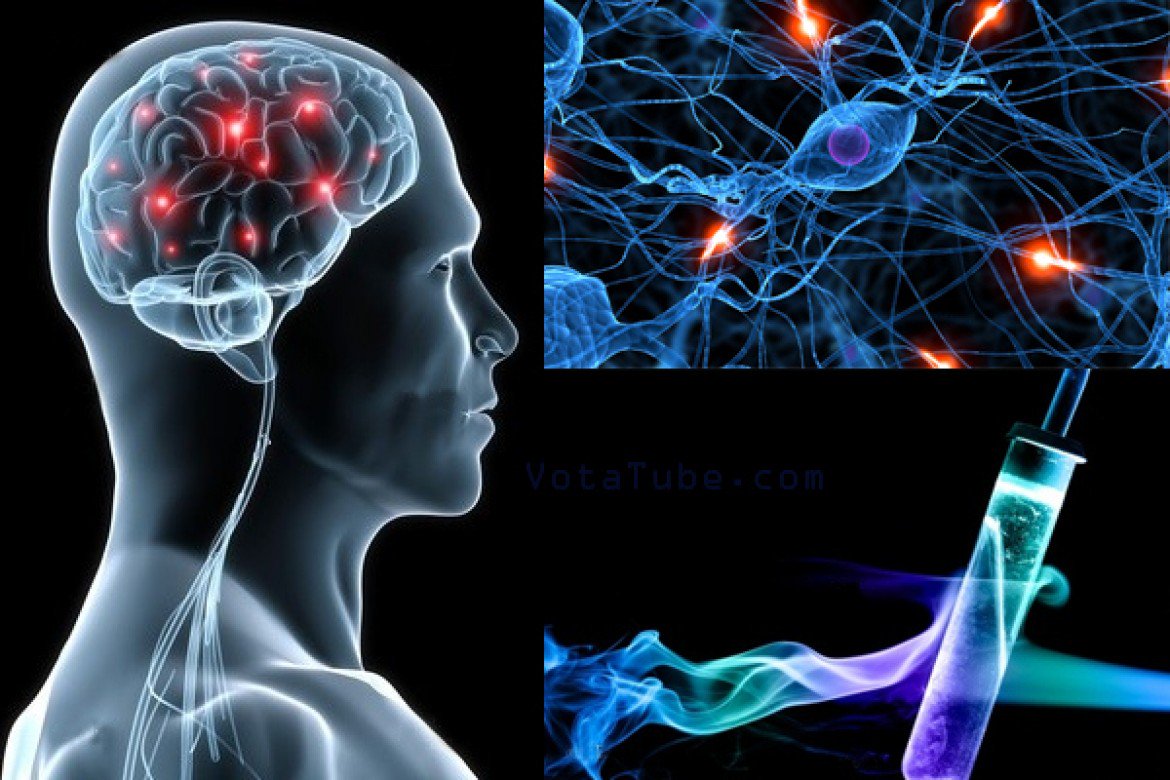 Biofactor6's tweet image. # biofacto...la fuerza de la vida!