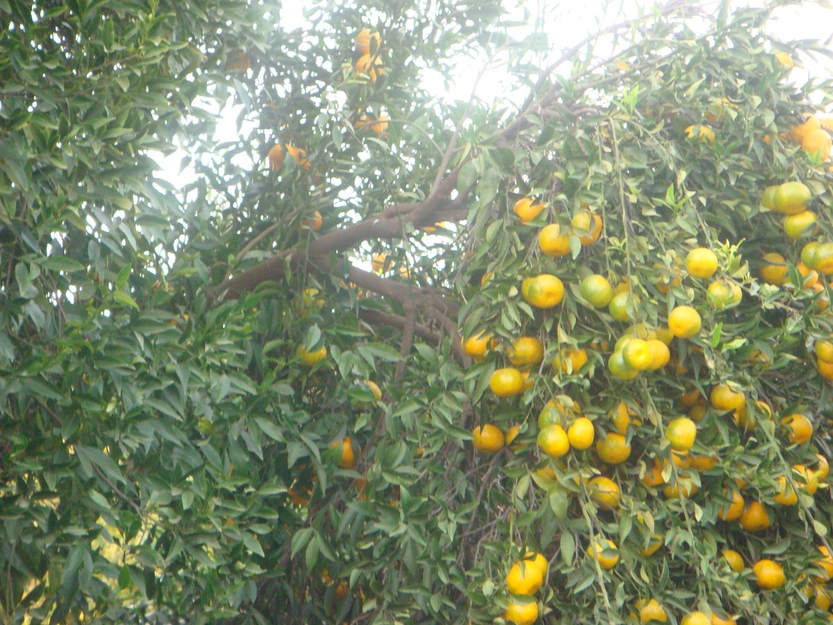 MARMARIS; KAYNAK SURUCU KURSU-her turlu ehliyetleriniz icin uzman kadromuzla hizmetinizdeyiz tlf 0252 413 7585;cep 0506 655 4100 , cep 0546 820 1299