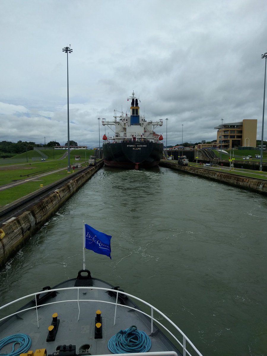 PYPathwell, MD tweet media