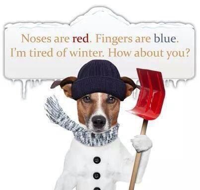 Rhonda McFadden tweet media