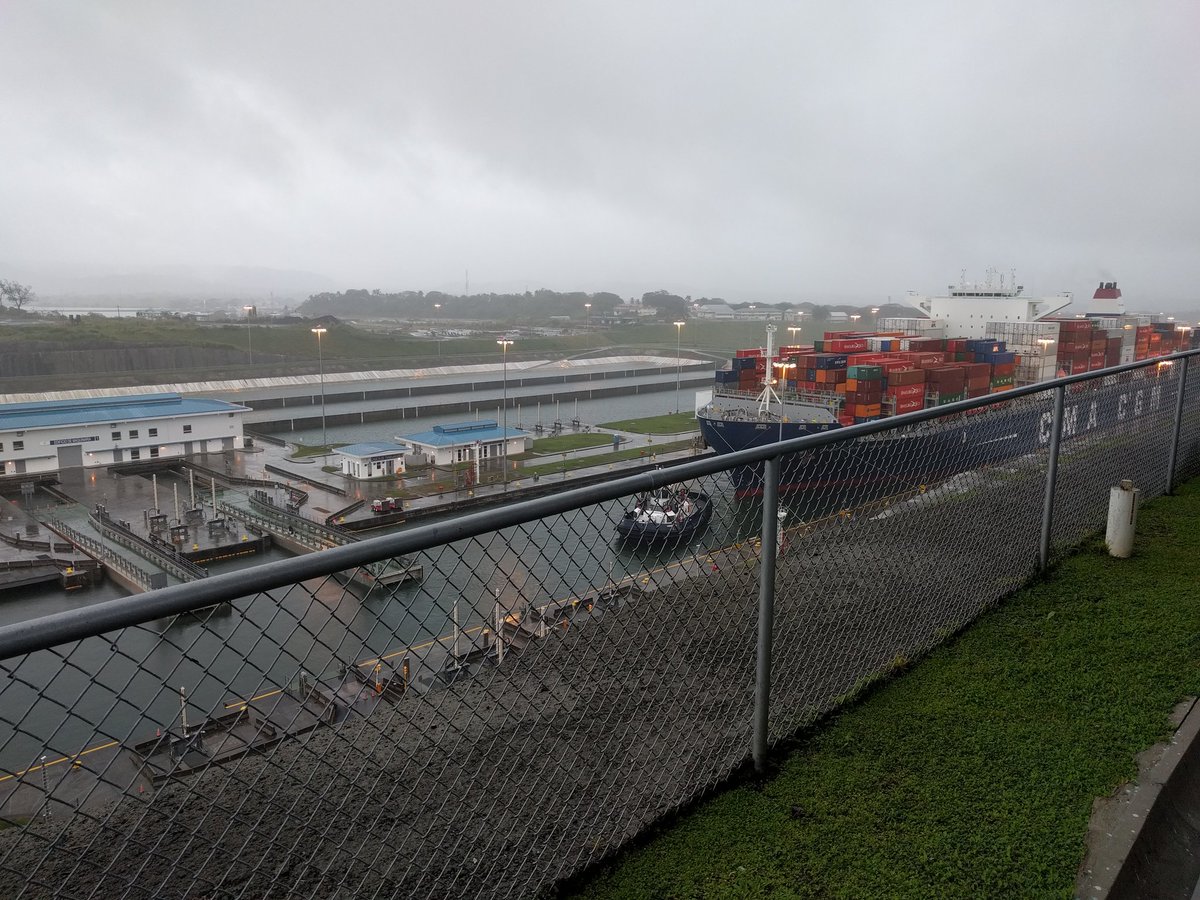 PYPathwell, MD tweet media