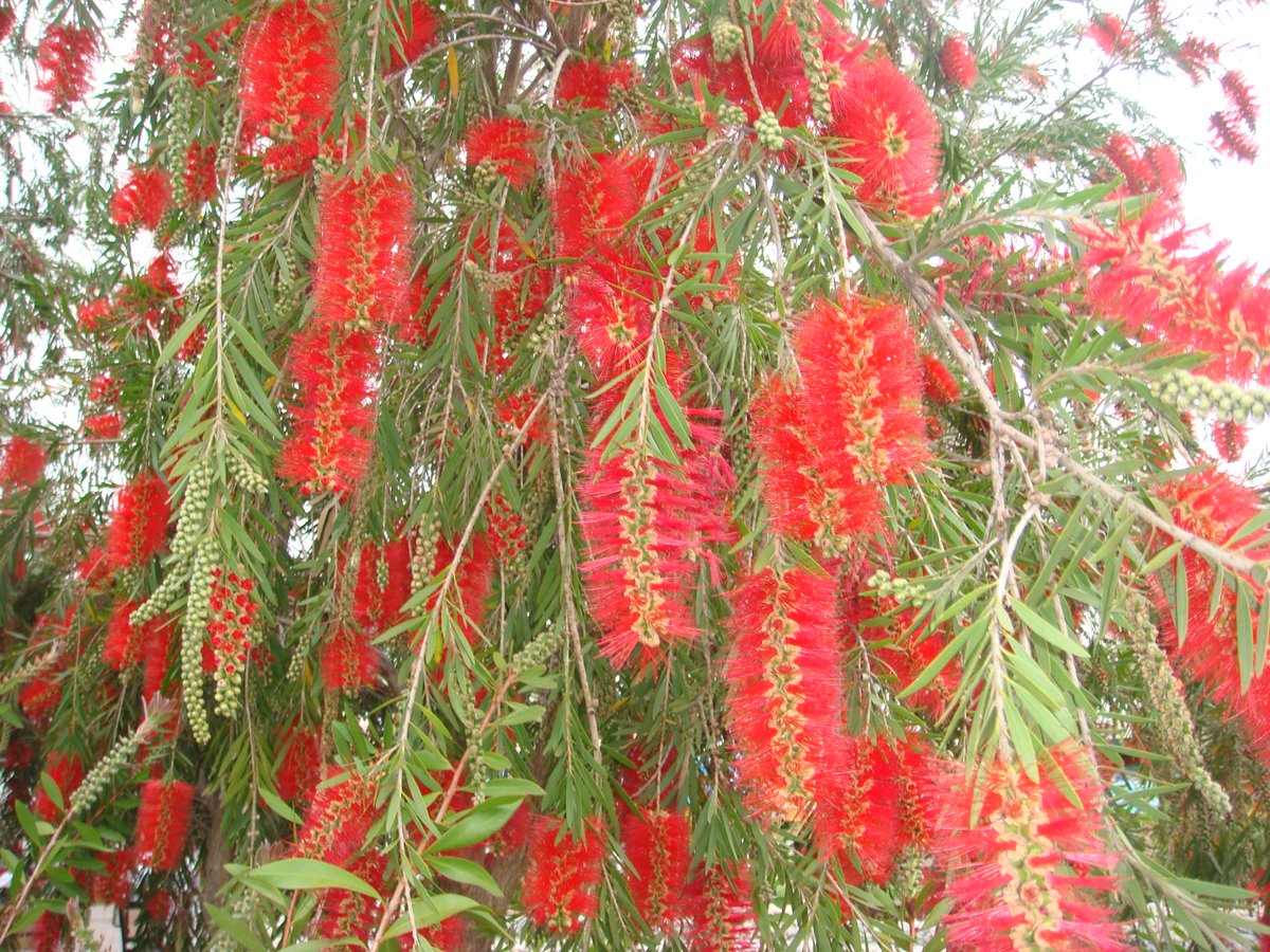 #Marmaris 19 MAYIS MEYDANI 
#Kaynak Surucu #EHLIYET KURSU icin tlf 0252 413 7585 , cep 0506 655 4100 , cep 0546 820 1299
UZMAN kadromuzla hizmetinizdeyiz. Tanisalim
19 Mayis Genclik Meydani'ndan denize dogru, hemen karsisinda cadde ustundeyiz