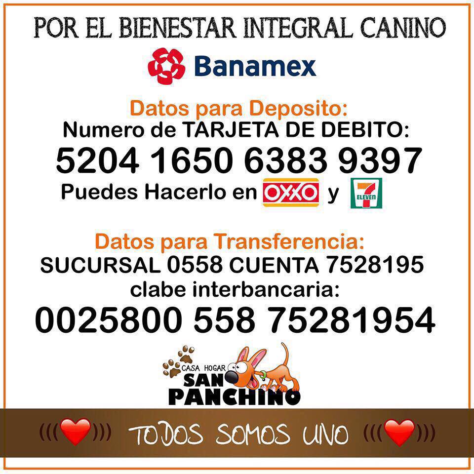 Moncherriedesu's tweet image. AYUDA URGENTE PARA LOS PERRITOS DE #HABITAT 
SE NECESITAN DONATIVOS EN $ O ESPECIE (COMIDA, MEDICINA, ESTUDIOS) HELP TO RT.