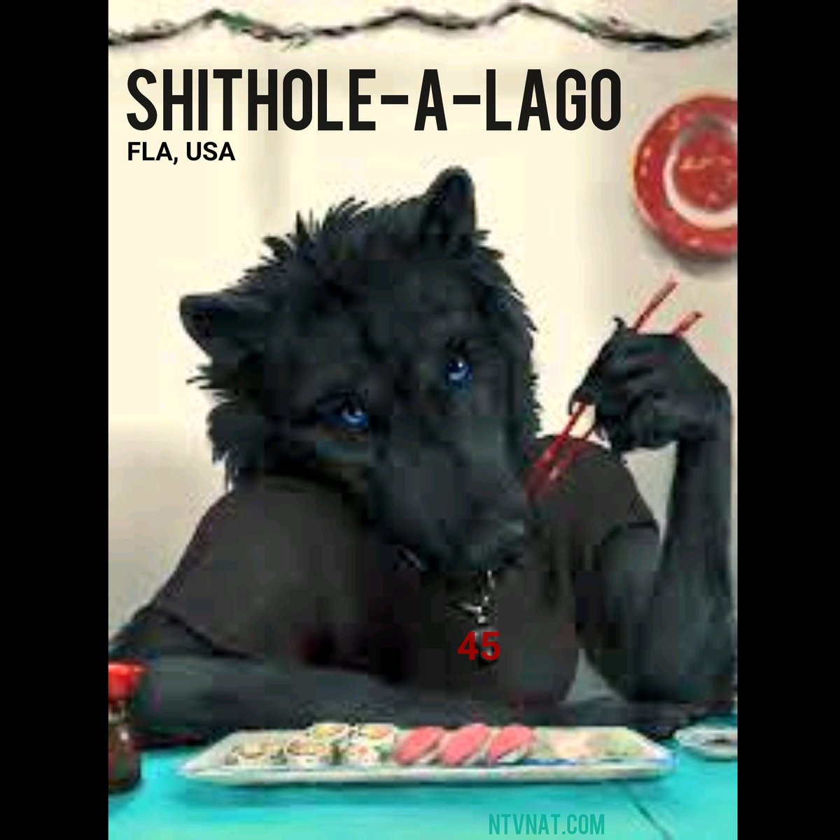 ChaseTriton's tweet photo. @thehill So... Haiti basically called in past due loans by Trump Corruption Inc., or won't loan the Evil Corp. millions. Fattass didn't seem to mind hiring temp workers for his Shithole-A -Lago; recently knocked by FL health inspectors. #shitholealago https://t.co/mFD8afwtjU