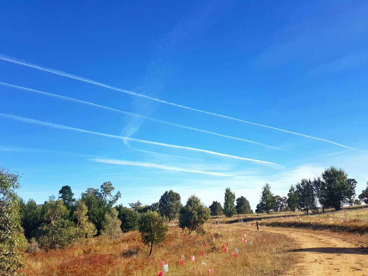 tomchesson01's tweet image. Today. #Canberra #SamsungS7