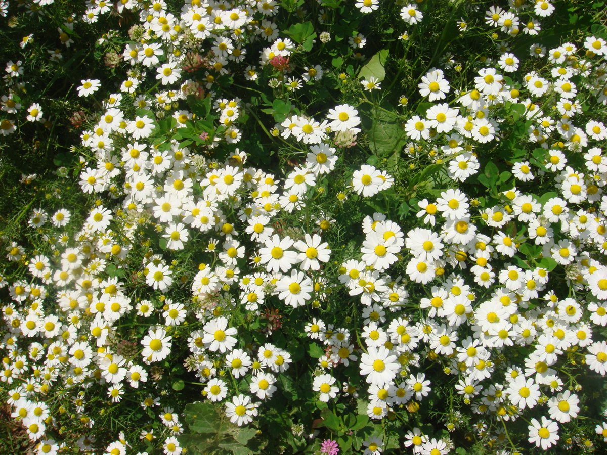 #Kaynak Surucu #EHLIYET KURSU icin tlf 0252 413 7585 , 
cep 0506 655 4100 , 
cep 0546 820 1299
UZMAN kadromuzla hizmetinizdeyiz. 
Tanisalim
19 Mayis Genclik Meydani'ndan denize dogru, hemen karsisinda cadde ustundeyiz
#Marmaris 19 MAYIS MEYDANI