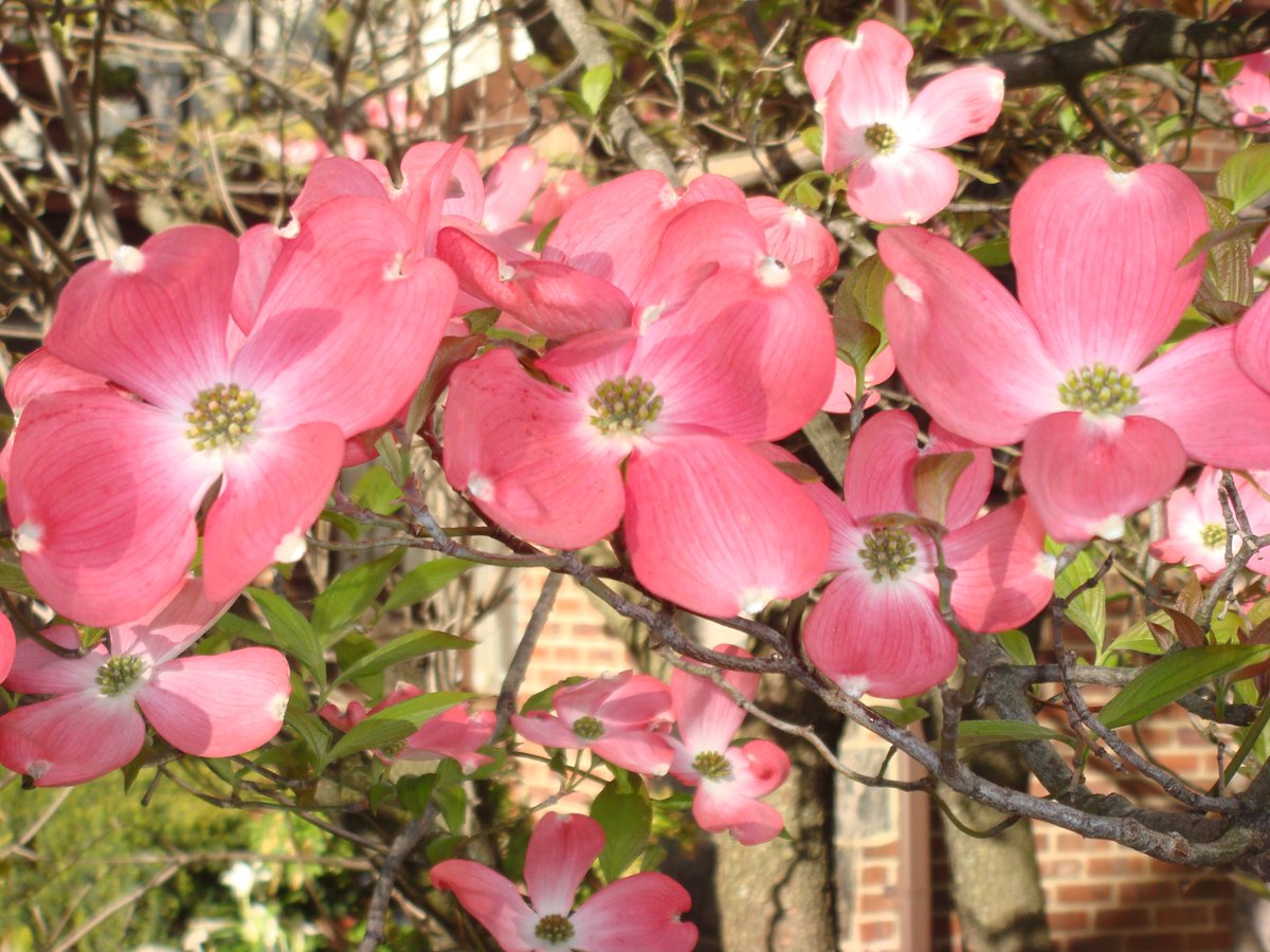 MARMARIS; KAYNAK SURUCU KURSU-her turlu ehliyetleriniz icin uzman kadromuzla hizmetinizdeyiz tlf 0252 413 7585;cep 0506 655 4100 , cep 0546 820 1299