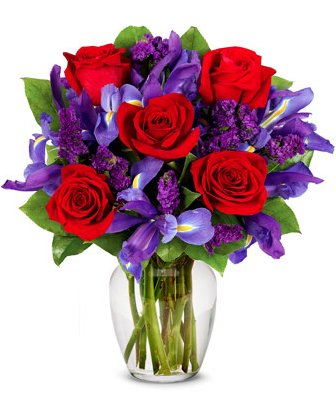 Dolphin Attack Squad IV tweet media