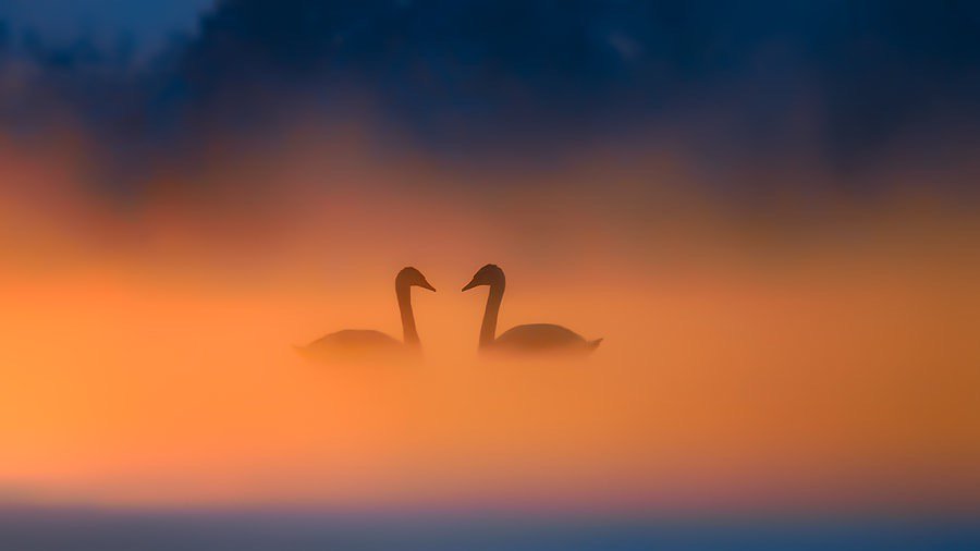 QuieroViajarGo's tweet photo. #Prunet #Romania
By Bodgen Panait #QuieroEstarAhi Via #PicPublic https://t.co/gMf9WIJ3eT