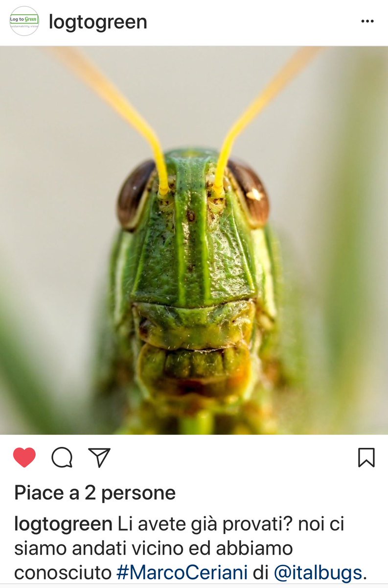 DrCeriani's tweet photo. Cibo del futuro? Ho detto che... https://t.co/U7Iyk13np0… @myxdutch #logtogreen #marcocerianiofficial #italbugs @ptplodi #edibleinsects #cleanprotein @silviapegg https://t.co/gnFRCD90Ux