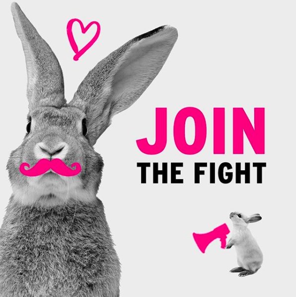 TheBodyShopSA's tweet image. WE&apos;RE NOT DONE! We want to get 8 million signatures against cosmetic animal testing  before we go to the UN. Sign the petition: bit.ly/2st95Uh