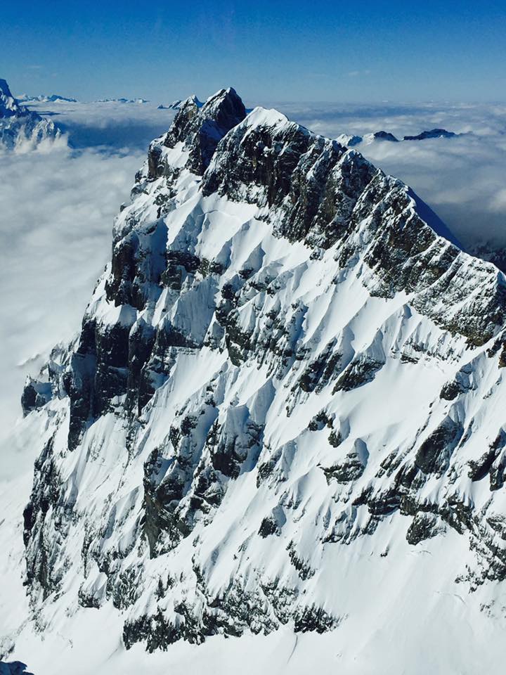 peakdate tweet picture