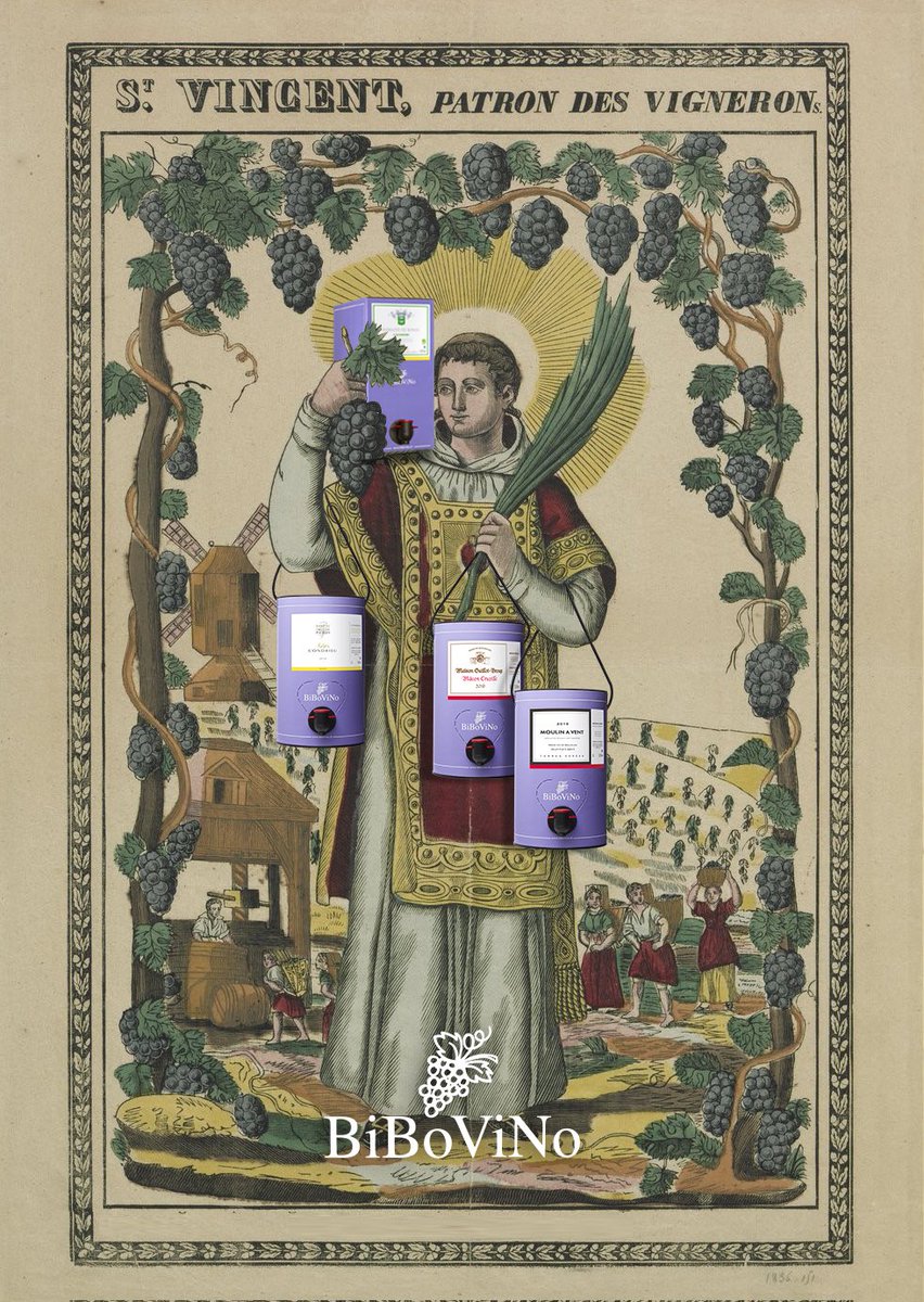 BiBoViNo tweet media