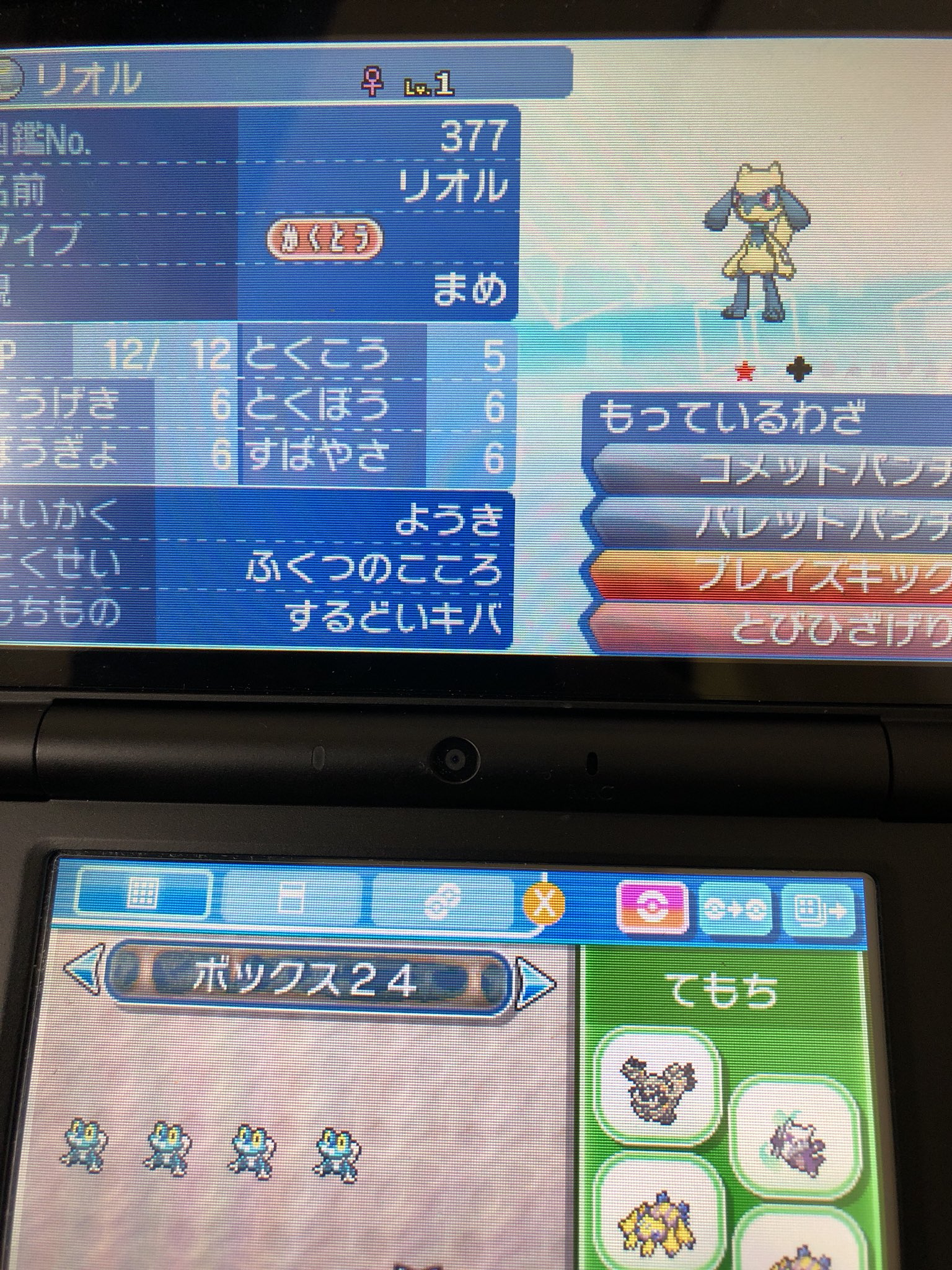 まめさん W ポケモン 海外産6vメタモン配布中 久しぶりに配布します コメパンリオルの色違いが2匹産まれたので1匹を１名様にお譲りします 詳しくは画像で おまけでするどいキバ付けます 参加はフォロー リツイートで 明日金曜の夜21 00〆