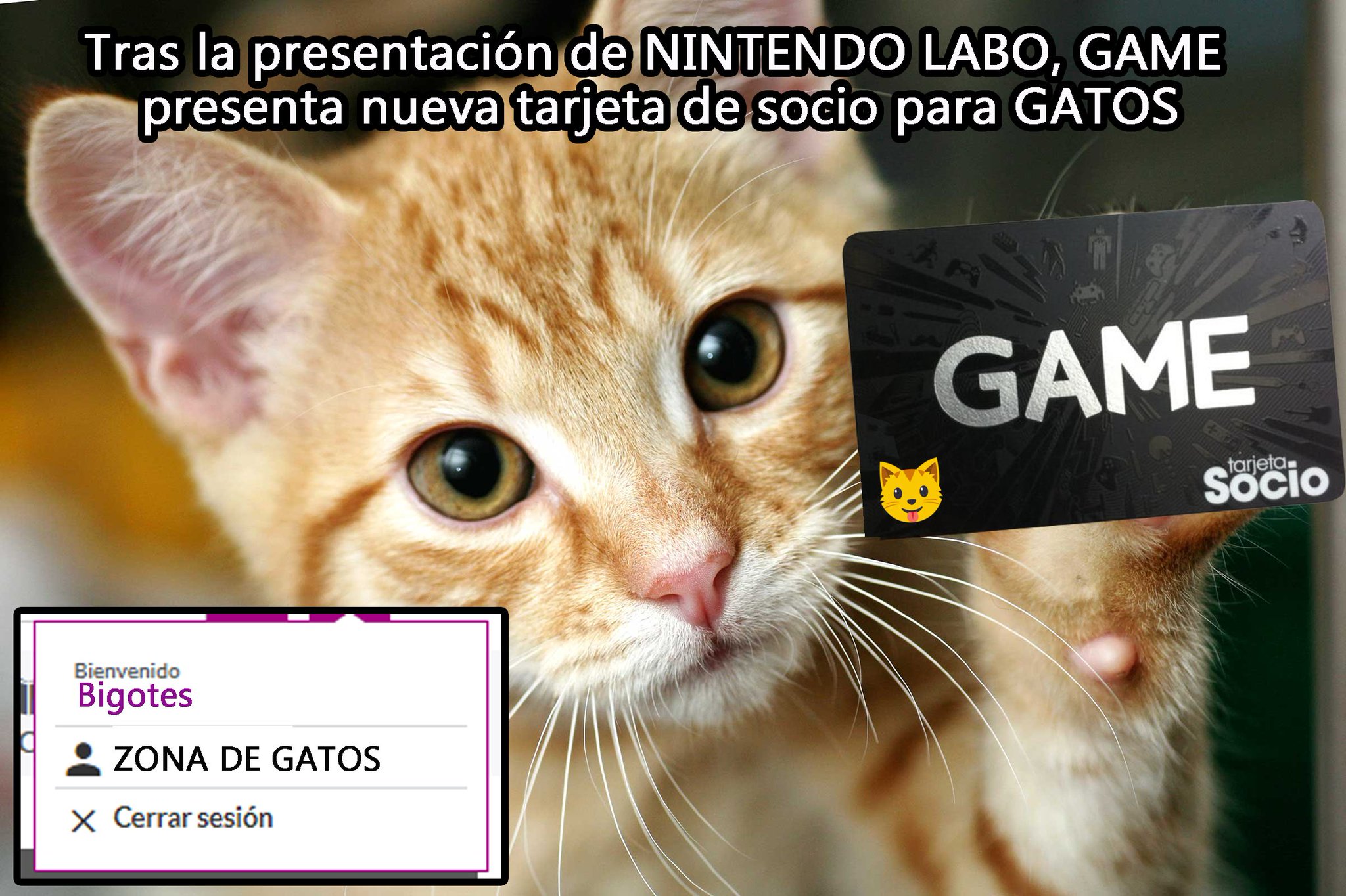 Game Espana على تويتر Tu Ya Tienes Tu Tarjeta Black Pero Ahora Tus Gatos Podran Tener Tu Tarjeta Cat Para Disfrutar De Nintendolabo Poder Hacer Renoves De Carton Acumular Puntos Y