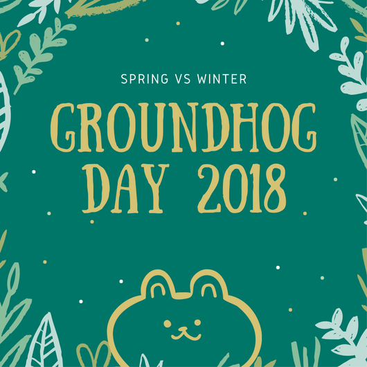 E2ELECTRONICS's tweet image. Are you hoping for #spring or winter tomorrow?! #GroundhogDay