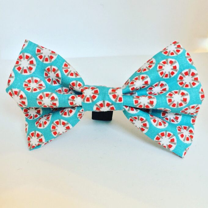 The Dog Hoose Tynemouth tweet media