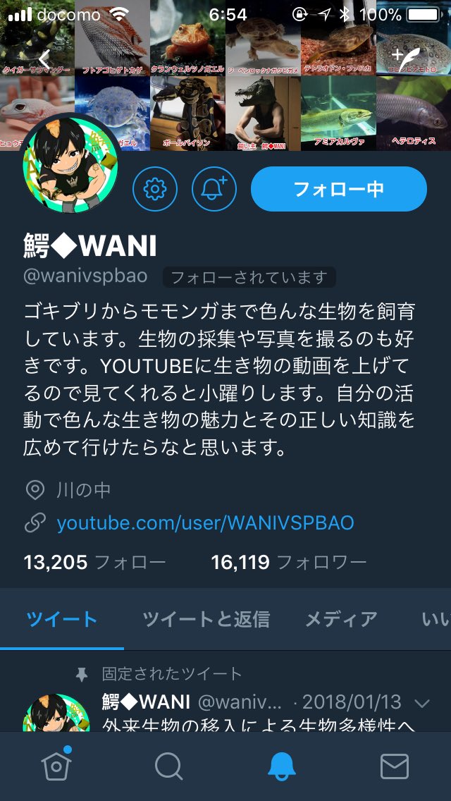 鰐さんからフォロー来てドキドキ💓笑笑

フォローありがとうございます😊