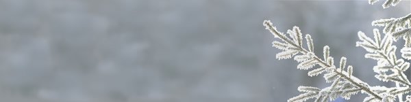 Hels_Kitchen_IL's tweet image. CURE THOSE WINTER BLUES conta.cc/2FBetLZ