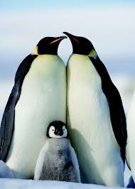 three_cube's tweet image. Linux for Hackers, Part 5: Adding and Removing Software #linux #linuxforhackers #cybersecurity #infosec
bit.ly/2FBkJmX