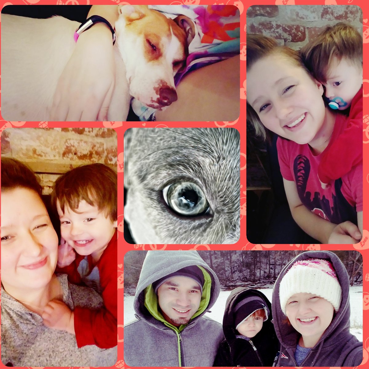 CrazedColletts's tweet image. #NewProfilePic