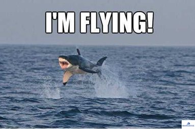 BardessGroup's tweet photo. The sharks will be flying high on February 8, 2018! Join the #Bardess team at the #Qlik Financial Services Summit to find out how to take a bite out of your data.
#DataRobot #Trifacata #Cloudera #FinServ #WealthManagment #Analytics #DataSharks
https://t.co/YVlDwrm2w4 https://t.co/0dF12tkfsf