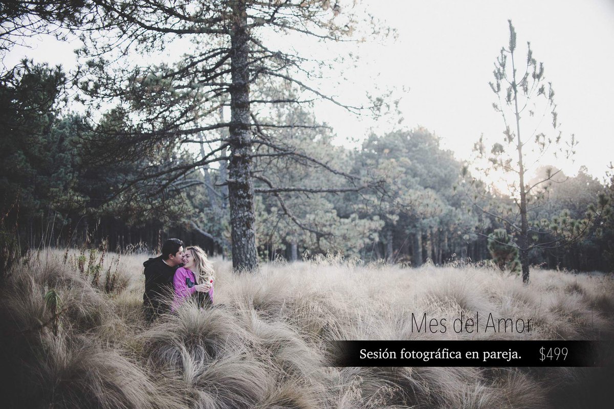 MerabFoto's tweet image. Todo el mes de Febrero.