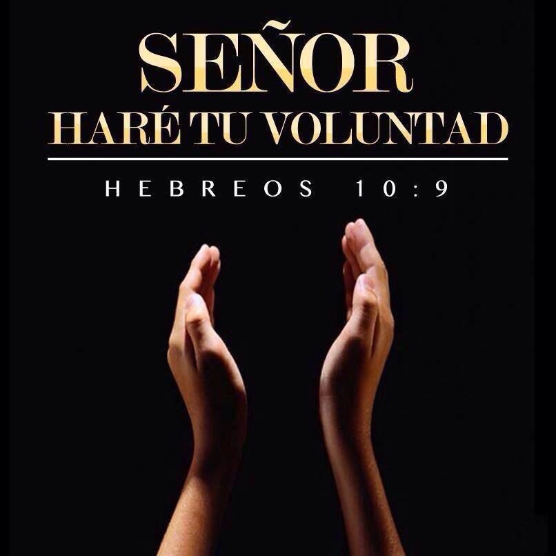 GerreraDe's tweet image. #NuevaFotoDePerfil