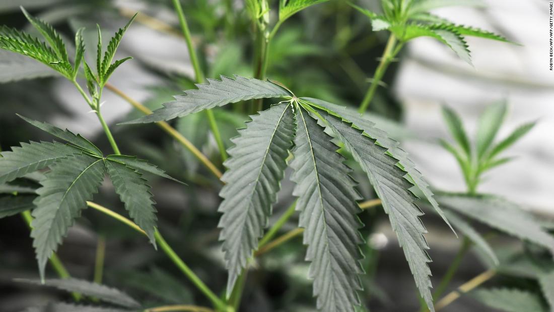 CNN (@cnn) on Twitter photo San Francisco retroactively tossing thousands of pot convictions cnn.it/2nAoNwC San Francisco retroactively tossing thousands of pot convictions cnn.it/2nAoNwC