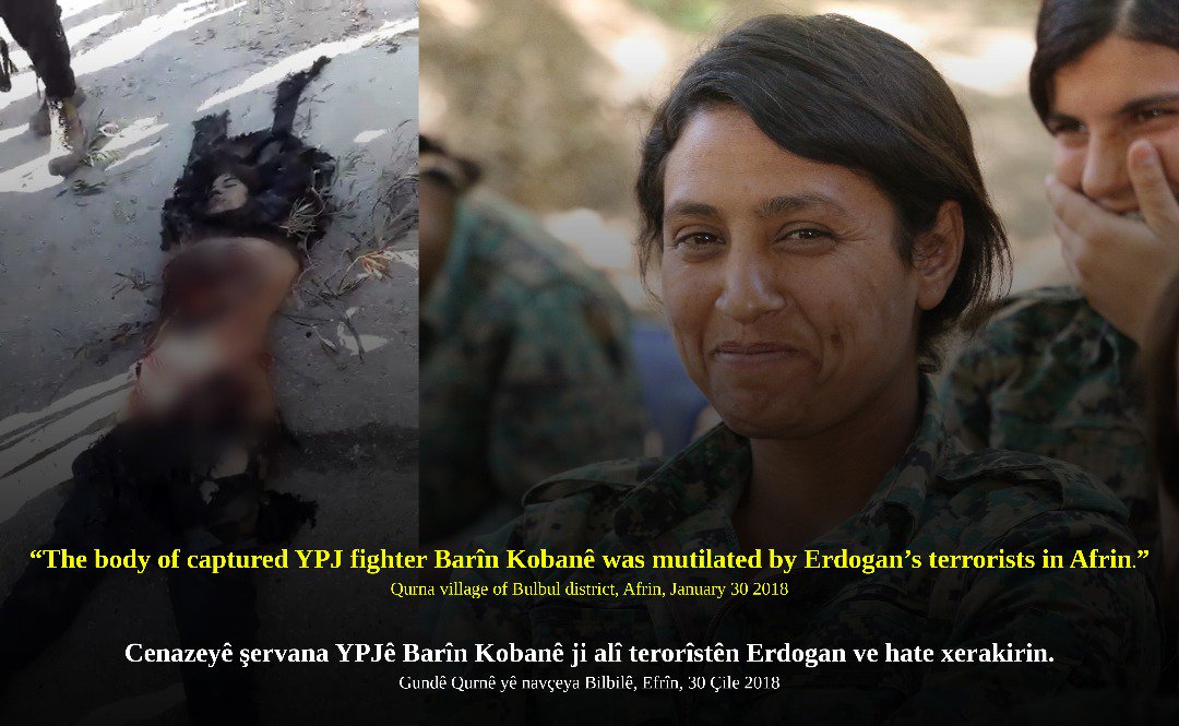 DU-IPMGX0AA90fX.jpg:large