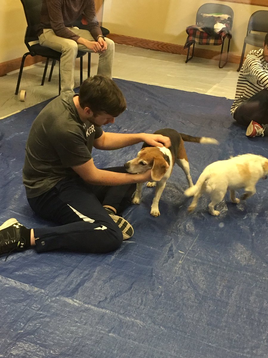 SDMinesLife's tweet photo. Today in Surbeck Center, pet a dog for $1! Get some stress relief and help out Happy Tails Haven. 
#sdmines #itstartsatmines #sdsmt #dogs https://t.co/hMACXbVGPv