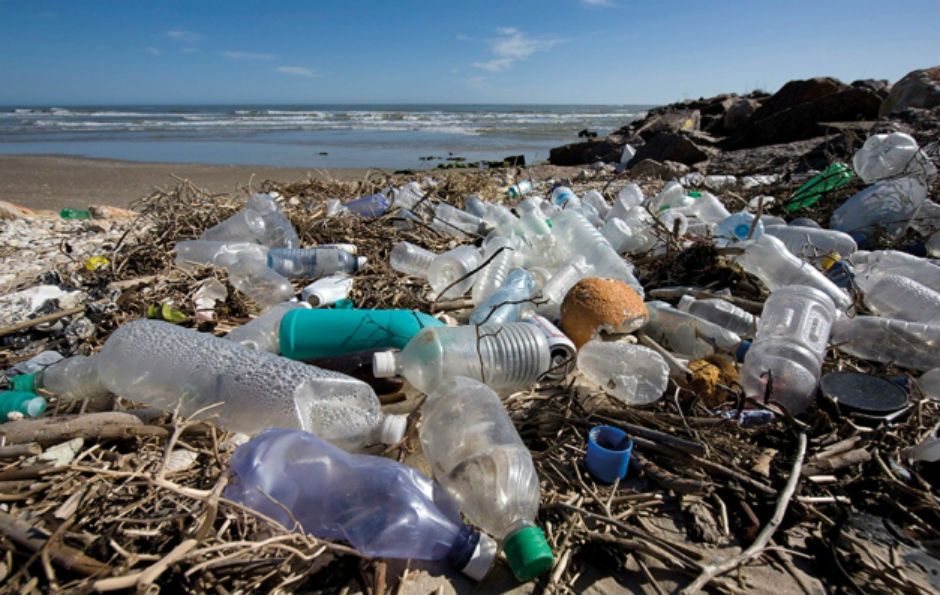 BermudaStream's tweet photo. The Insidious #PlasticProblem by #Bermuda Blue @jfd2205 @PlasticPollutes @Bermuda #PlasticPollution https://t.co/BFpm6lUNV5 https://t.co/xRH7vwXEOp