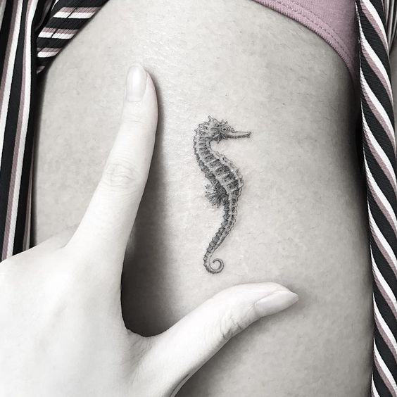 Tattooforaweek's tweet photo. This tiny detailed seahorse tattoo is amazing! #tattoo #seahorse #tinytat #tintytattoo #seahorsetattoo #ink #inked #inkspiration https://t.co/wKWURTaPN9