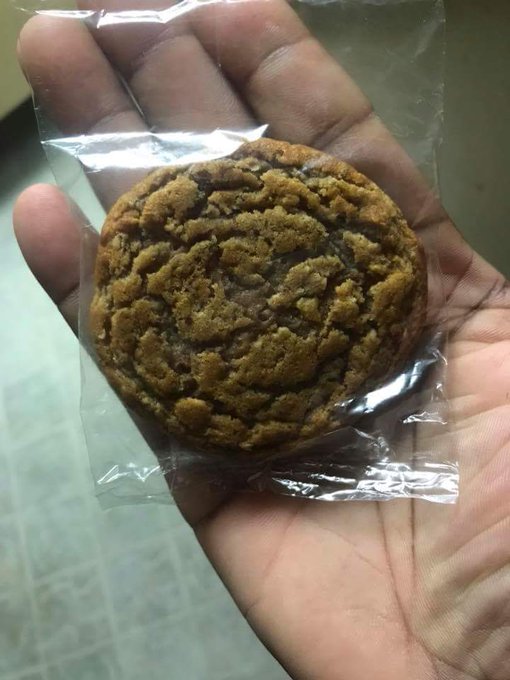 If her stomach looks like this she getting at least 10k back in taxes https://t.co/8IPgsKTUGQ<a href="/tag/miami"class="tags"><span>#miami</span></a><a href="/tag/dolphins"class="tags"><span>#dolphins</span></a>