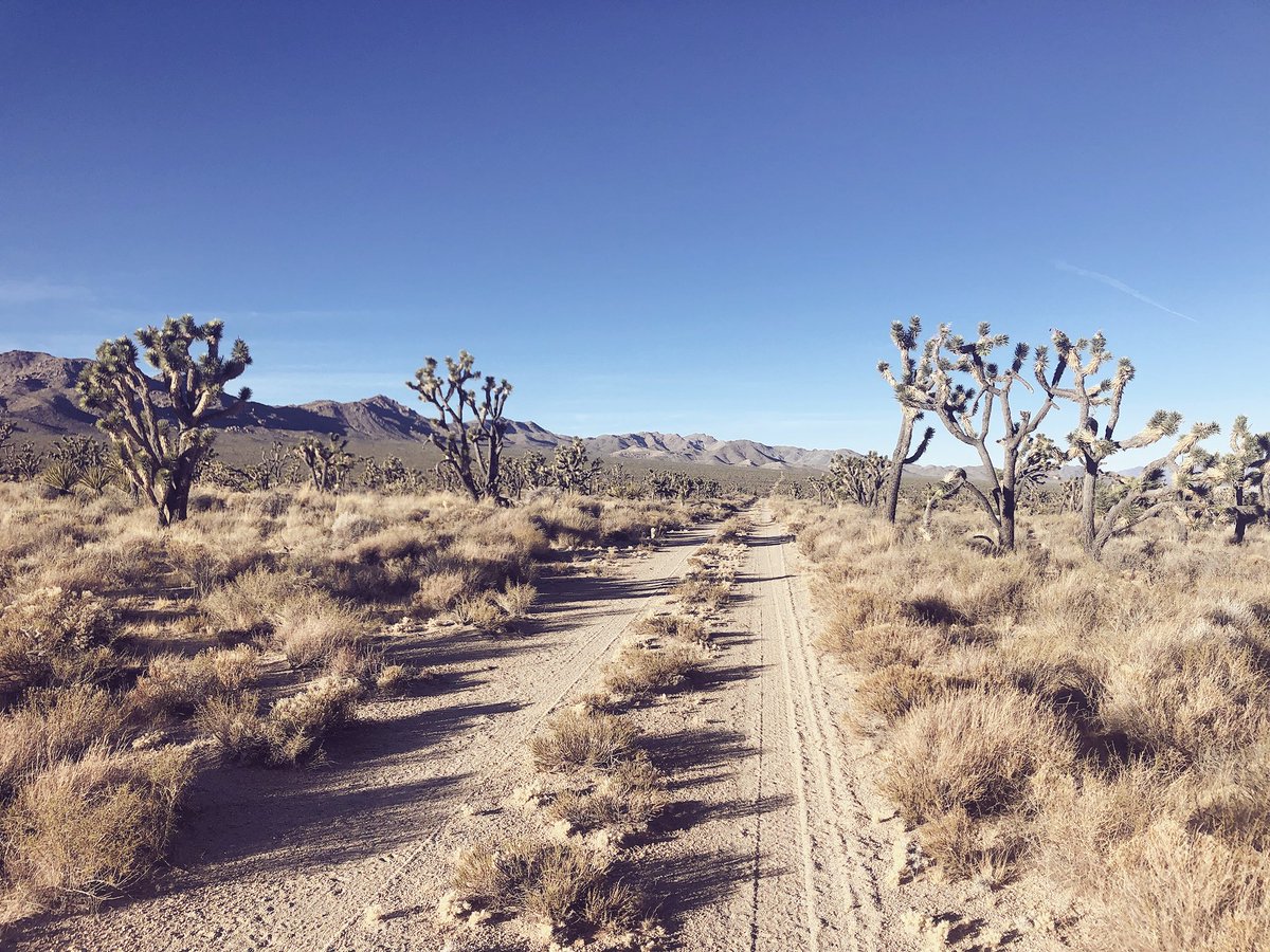 When you want something, all the universe conspires to help you achieve it. Paulo Coelho #Interstate15themovie #filmmaking #desert