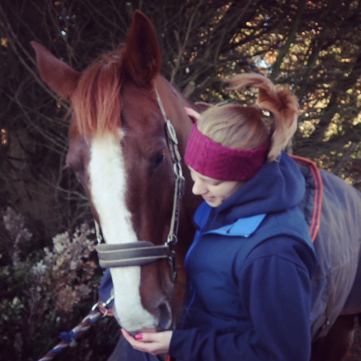 Instinctively Equine tweet media