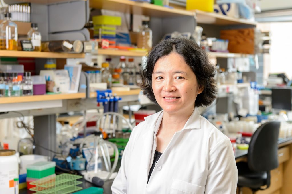 UW–Madison CALS (@uwmadisoncals) on Twitter photo Congratulations to <a href="/UWBact/">UW-Madison Department of Bacteriology</a> professors Trina McMahon and Jade Wang on being elected Fellows of the American Academy of Microbiology. ow.ly/ND9830i8ILp Congratulations to <a href="/UWBact/">UW-Madison Department of Bacteriology</a> professors Trina McMahon and Jade Wang on being elected Fellows of the American Academy of Microbiology. ow.ly/ND9830i8ILp