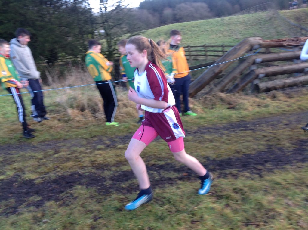 St Fanchea's College tweet media