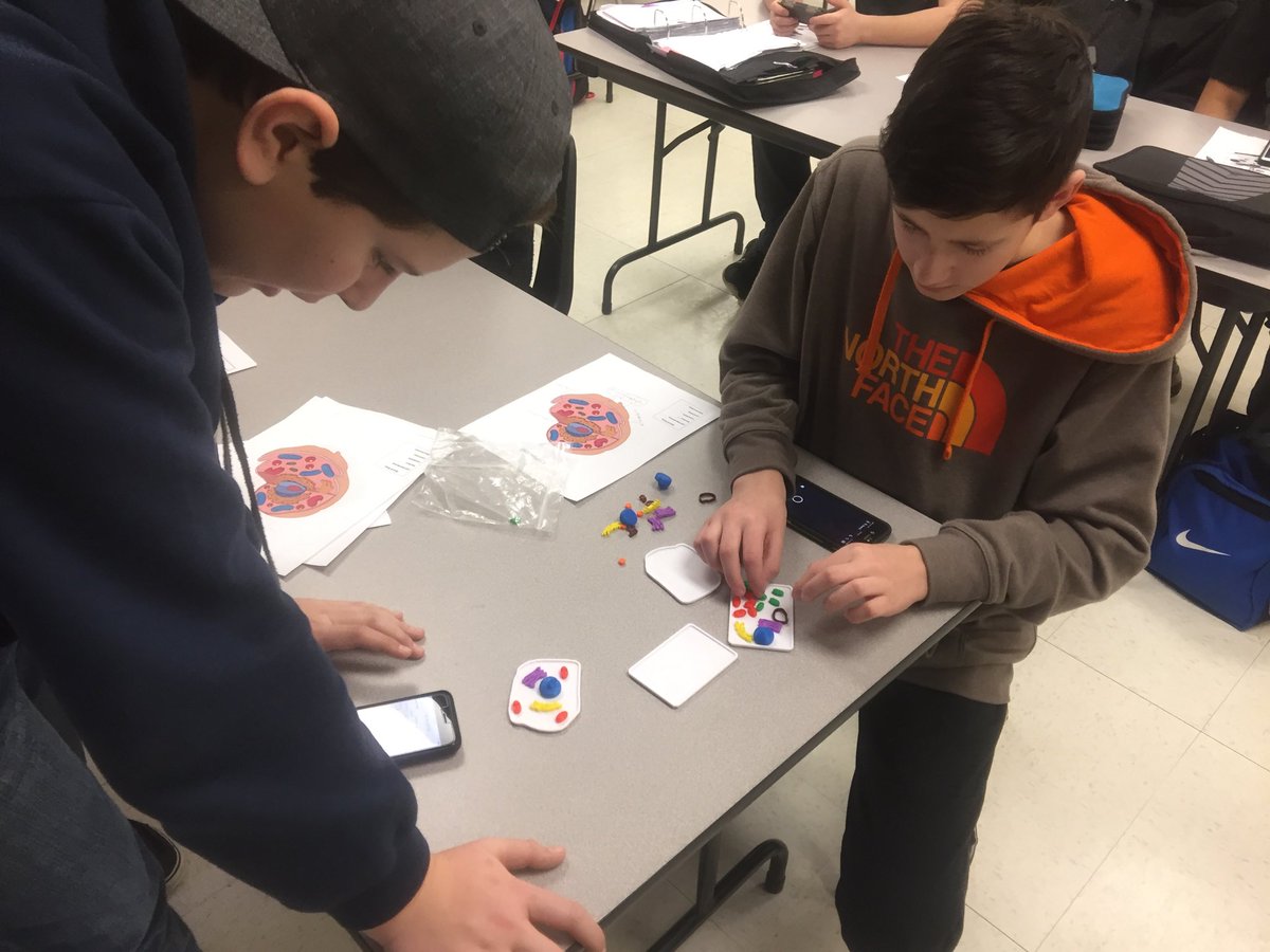 Tarapeet6's tweet image. @PACarlton grade 9’s building their own plant and animal cells. #saderscience #handsonlearning #followingtheirvoices