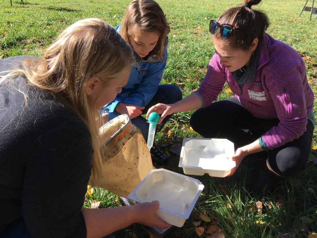nevadacitychamb's tweet image. #Whatsgreen: Sierra Streams Institute’s STREAM Team, a mentoring program for high school girls considering "STREAM" related careers.
buff.ly/2FzxIFA