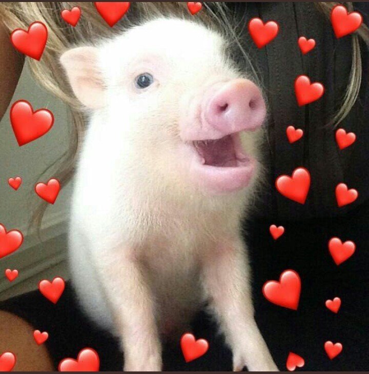 Shane Dawson on Twitter "NEW VIDEO! EXPOSING MY CAMERAMAN!📹 https//t