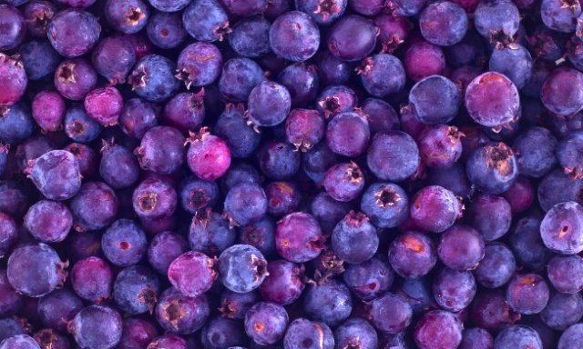 красивоплодник моллисона. фиолетовые фрукты и ягоды. пурпурные ягоды. красивоплодник фиолетовый. винтер (фиолетовые ягоды.