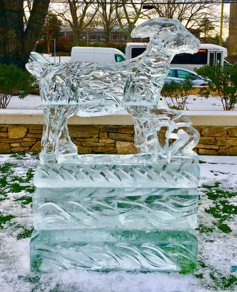 Come checkout our #GOAT on The Green!! #GoPats