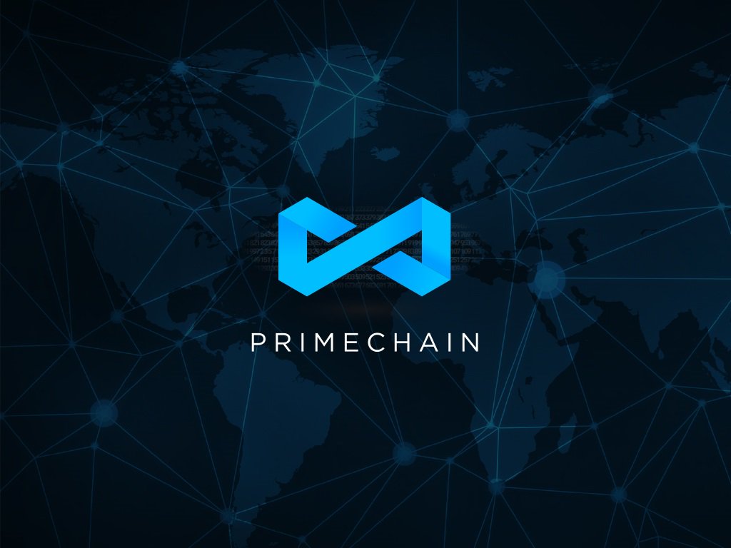 Mark Fidelman tweet media