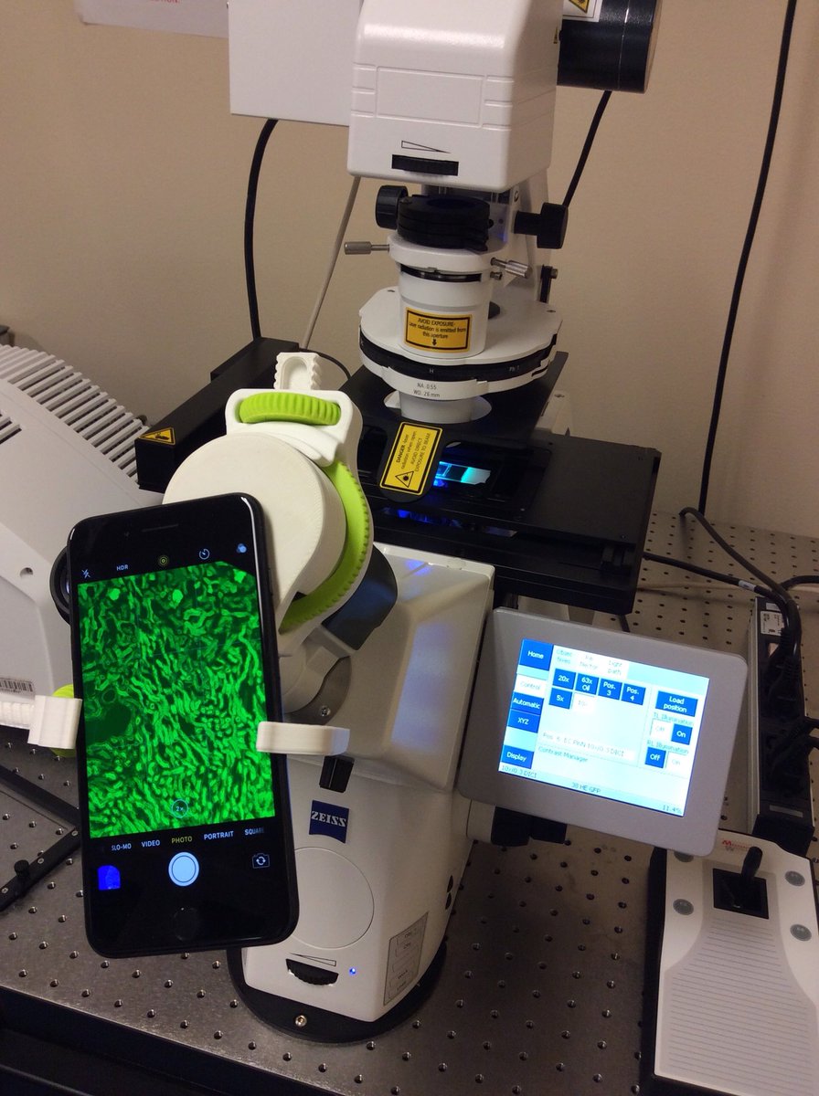 carney_lab's tweet image. Fully 3D printed adapter for coupling a smart phone camera to any microscope eyepiece! So much fun to use in the lab... @lulzbot3D @UCDavisResearch