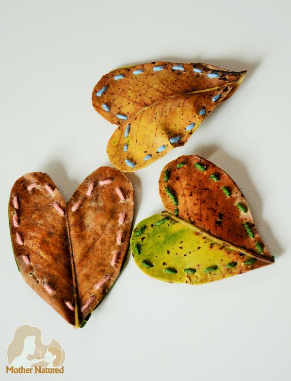 MudandBloom's tweet photo. This is a lovely Valentine's themed nature craft & great for fine motor skills.
The leaves can be sown together into pouches and little notes can be put inside them: https://t.co/3GVsxPywlc via @mothernatured #naturecraft #leafcrafts #kidsoutdoors #eyfs #forestschool #lovenature https://t.co/6wH43J9Ug4